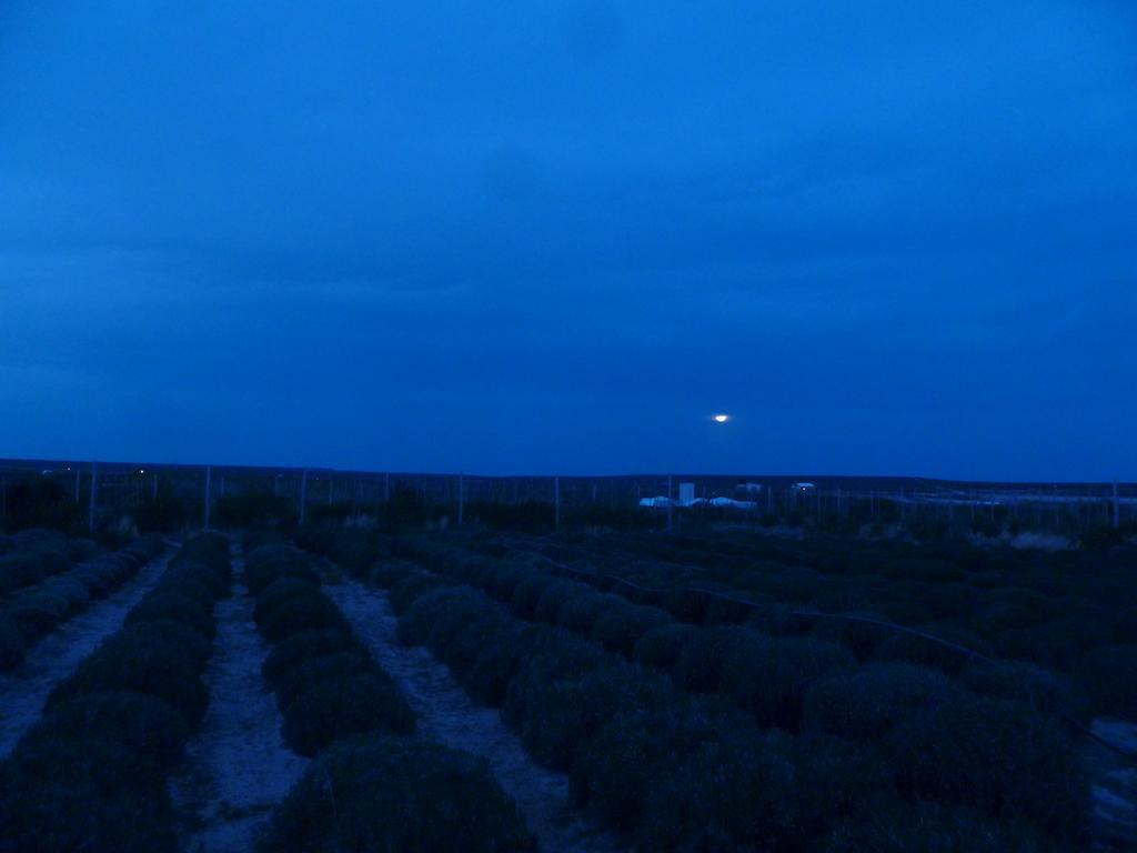 הוילה פוארטו מדרין La Calandria Casa De Campo מראה חיצוני תמונה