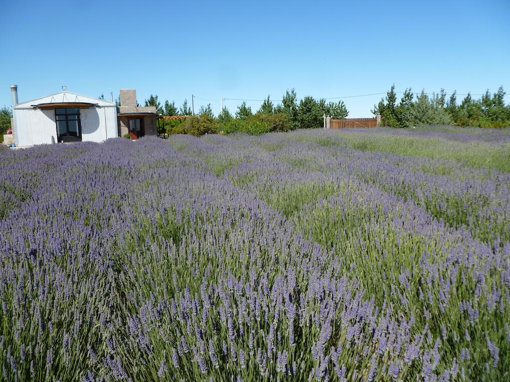 הוילה פוארטו מדרין La Calandria Casa De Campo מראה חיצוני תמונה