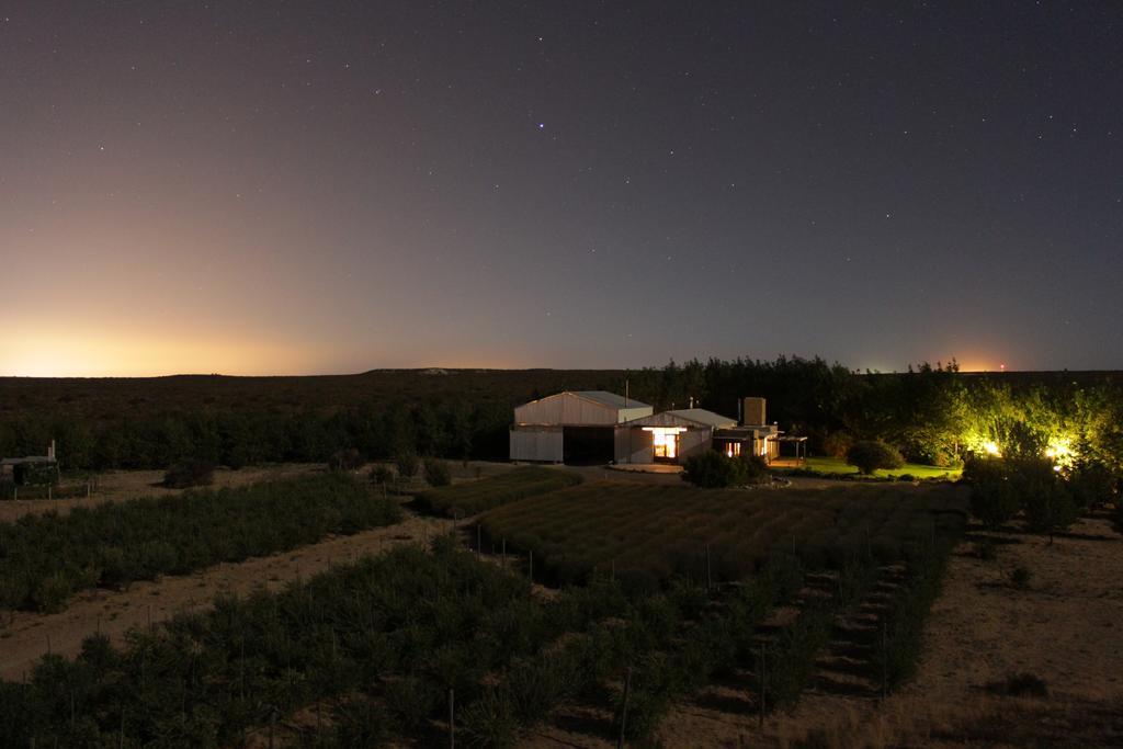 הוילה פוארטו מדרין La Calandria Casa De Campo מראה חיצוני תמונה
