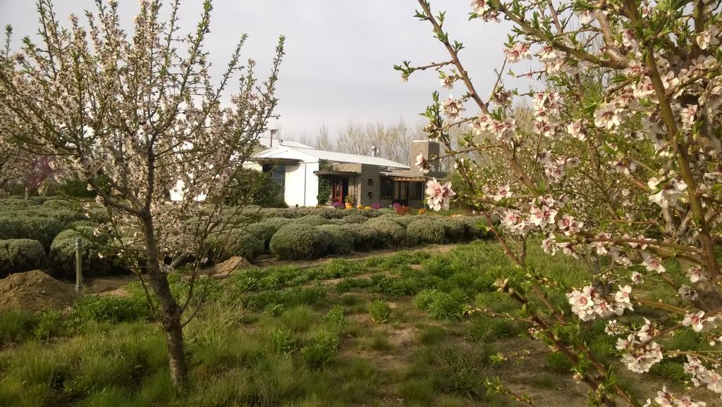 הוילה פוארטו מדרין La Calandria Casa De Campo מראה חיצוני תמונה