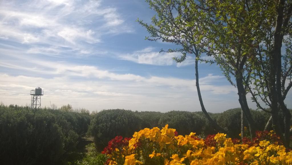 הוילה פוארטו מדרין La Calandria Casa De Campo מראה חיצוני תמונה