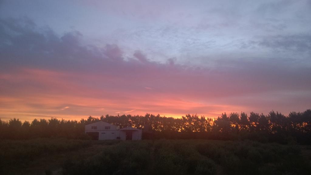 הוילה פוארטו מדרין La Calandria Casa De Campo מראה חיצוני תמונה